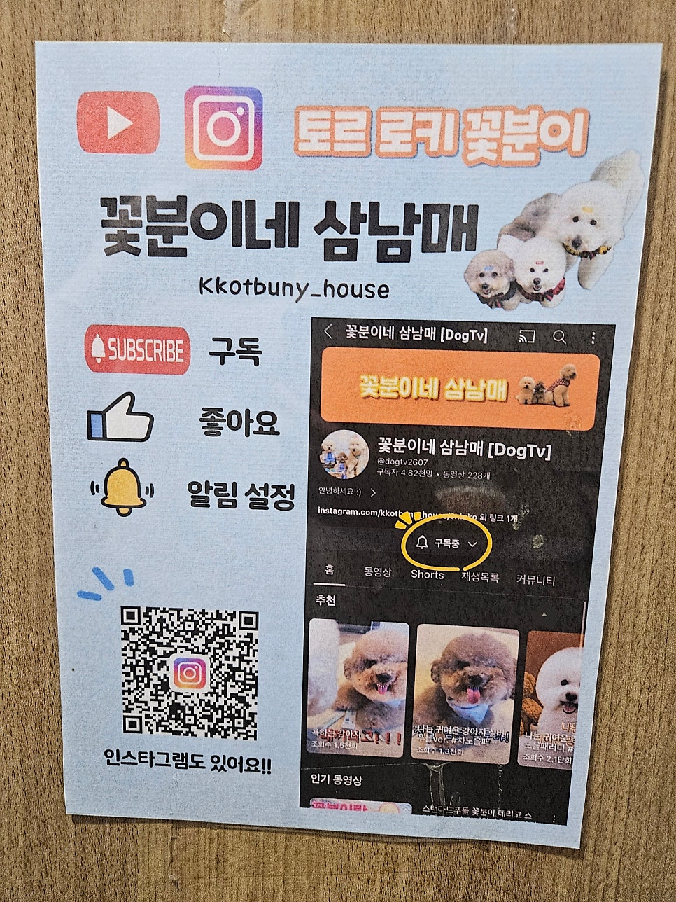 꽃분이네애견카페 사진 4