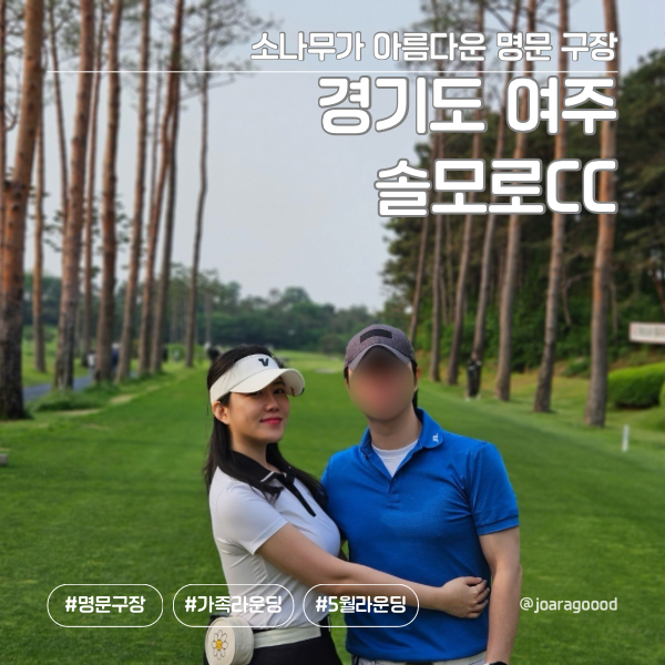 소나무 사진 1