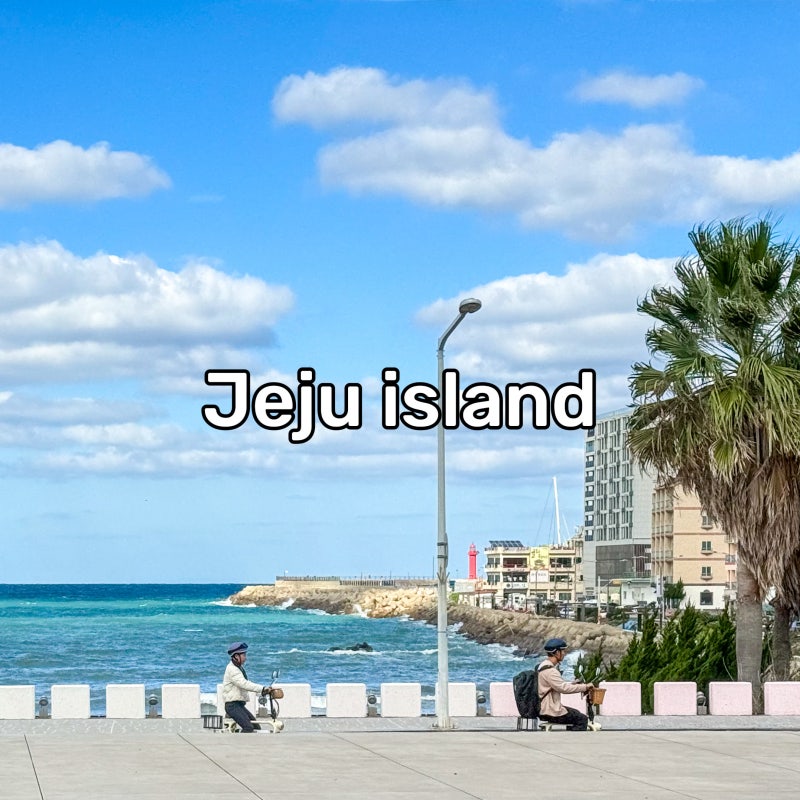 Jeju Island Plane Ticket Booking: August Jeju Trip Airfare and 8 Recommended Jeju Island Accommodations