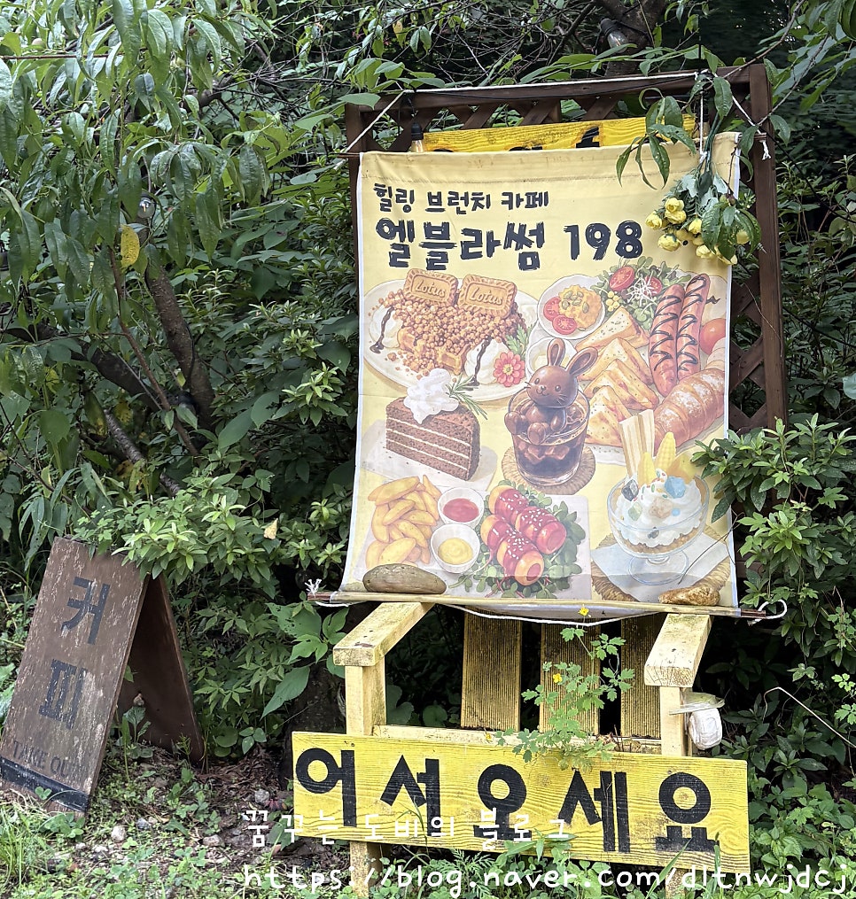 블라썸 사진 2