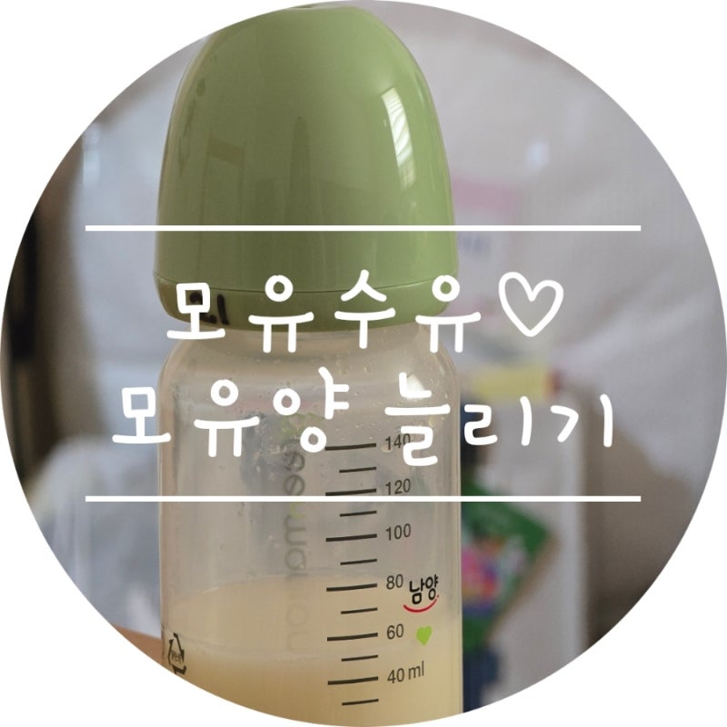 제왕절개 모유양 60ml까지 늘리고 조리원에서 자연단유 한 후기