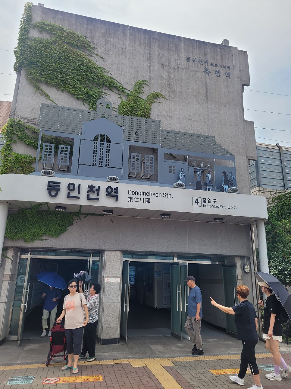 청개구리 사진 1
