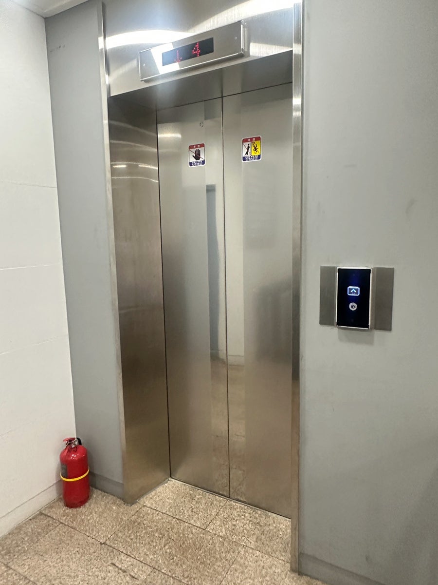 모몽 사진 2