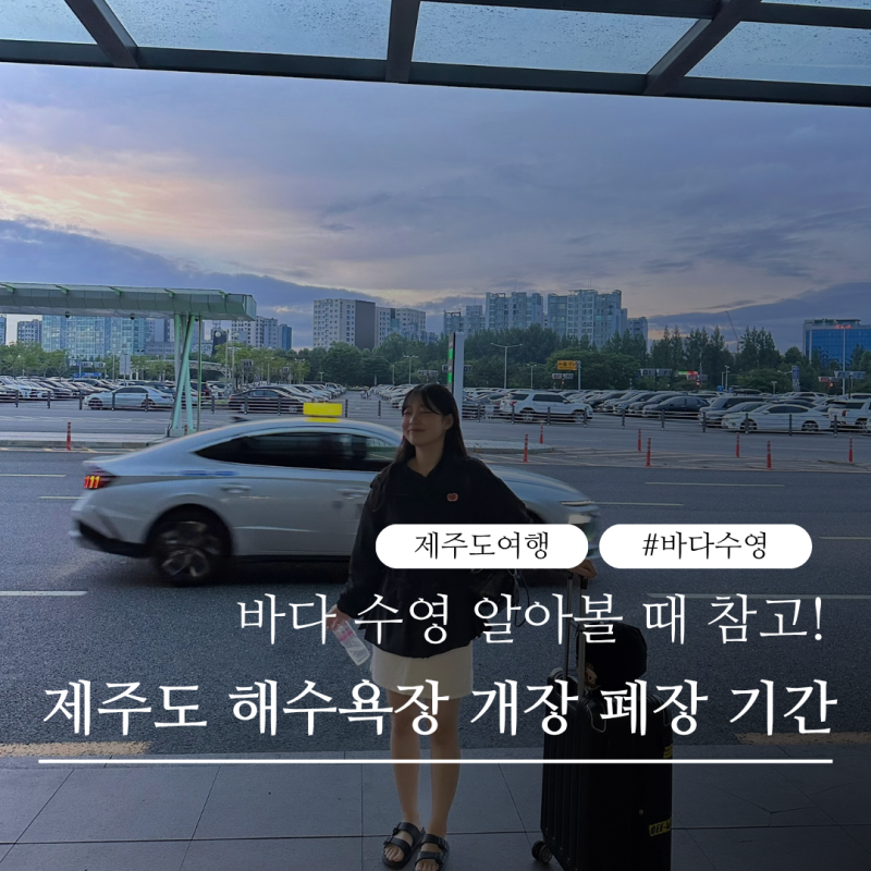 제주도 해수욕장 개장 폐장 기간｜수영하기 좋은 바다와 해파리 주의사항｜바다 수영 준비....