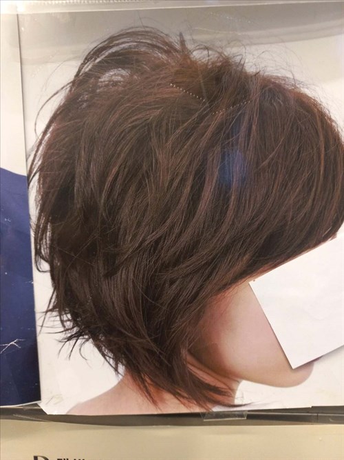 하루 사진 3
