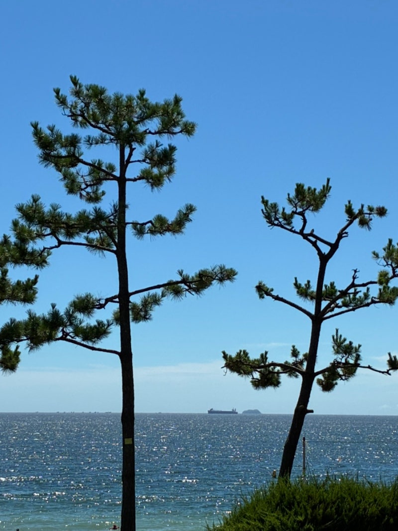 Boryeong Soller Hotel: Daecheon Beach Accommodation Review for a Trip with a 13-Month-Old Baby