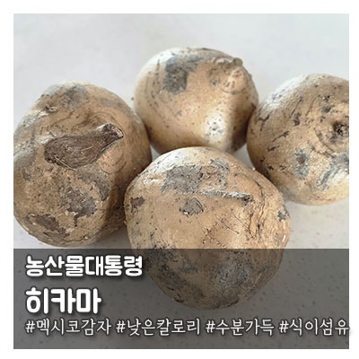 낮은칼로리에 식이섬유 가득한 멕시코감자 히카마먹는 방법