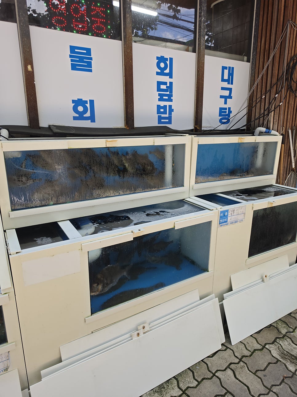동어담 사진 5