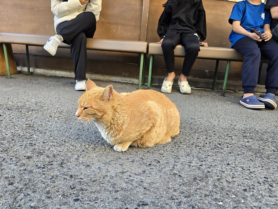 복산돈까스 사진 4
