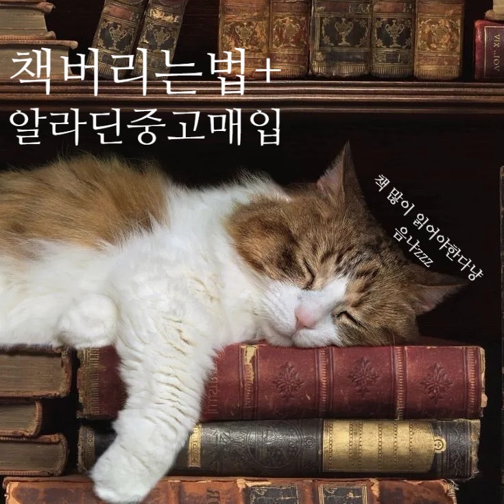 집 정리 꿀팁, 책 버리는 방법 책 분리배출 알라딘 중고책 팔기 활용법