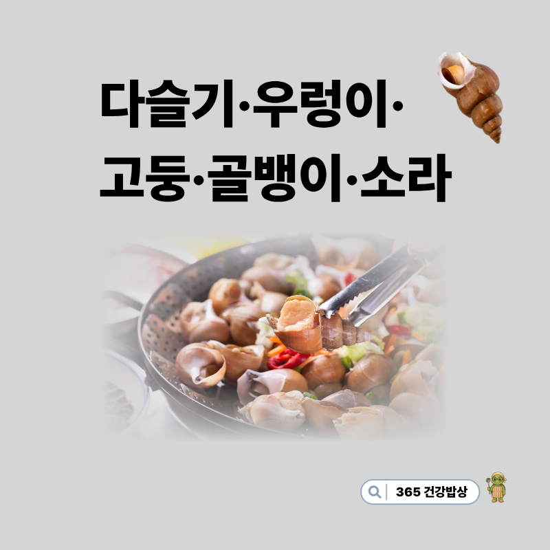 다슬기·우렁이·고둥·골뱅이·소라차이점 및 영양 효능
