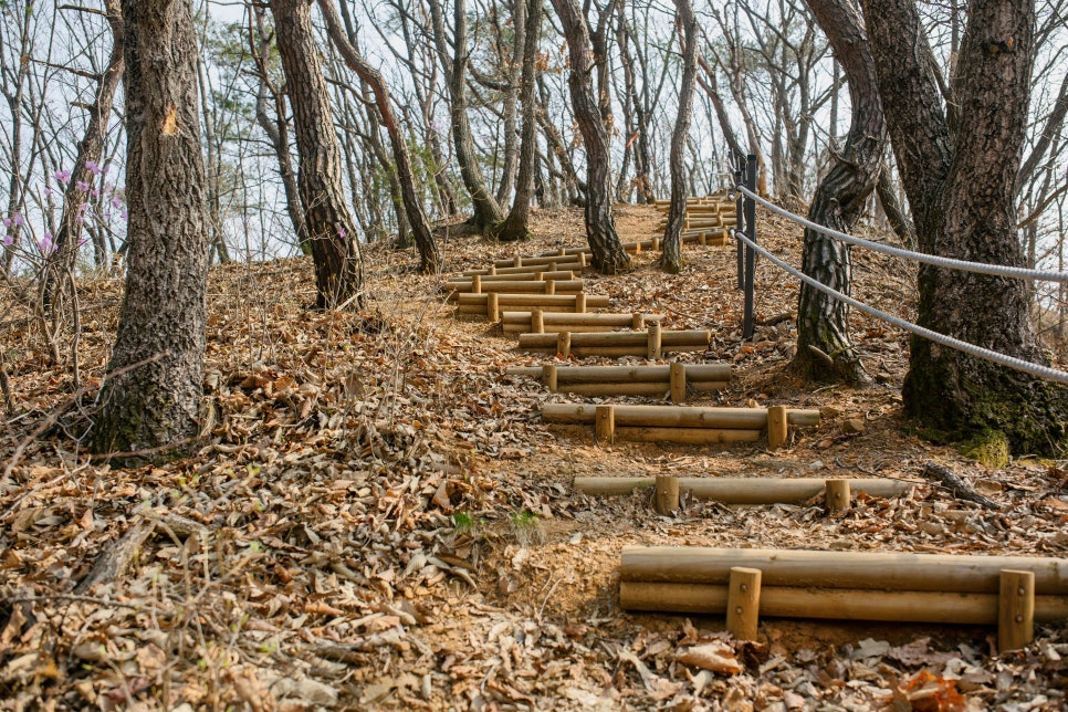 경기둘레길 연천10코스 사진 4