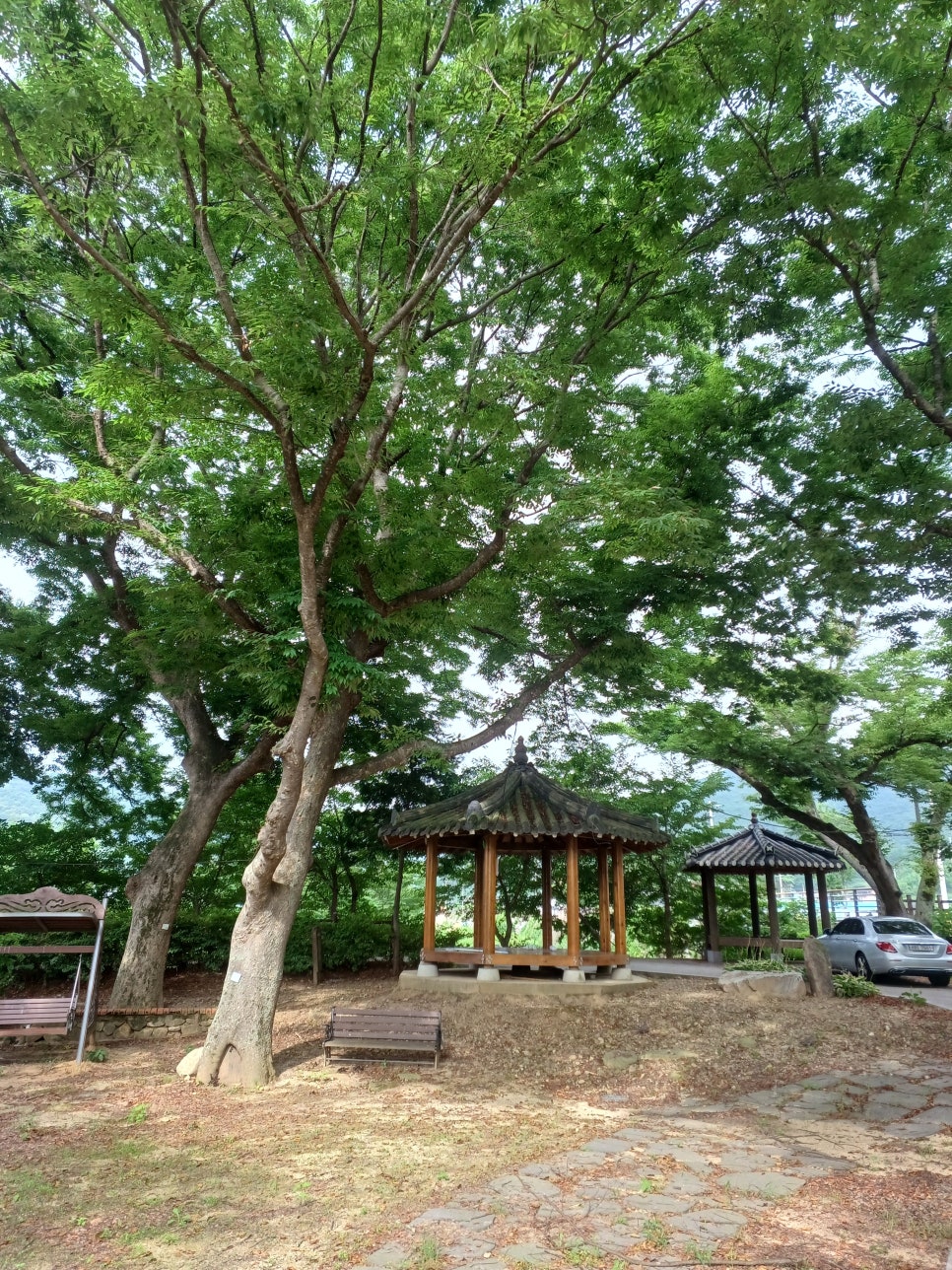모평마을숲 사진 5