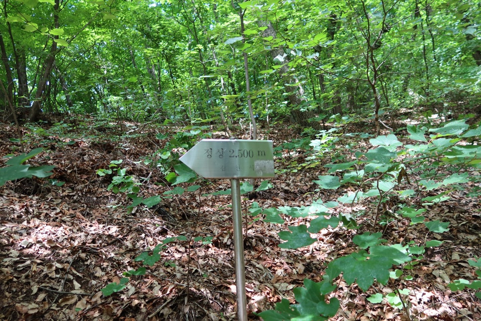 황악산 사진 4