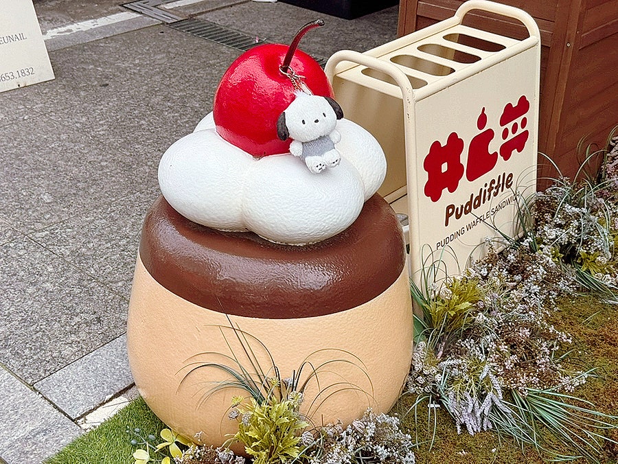 푸디플 사진 5