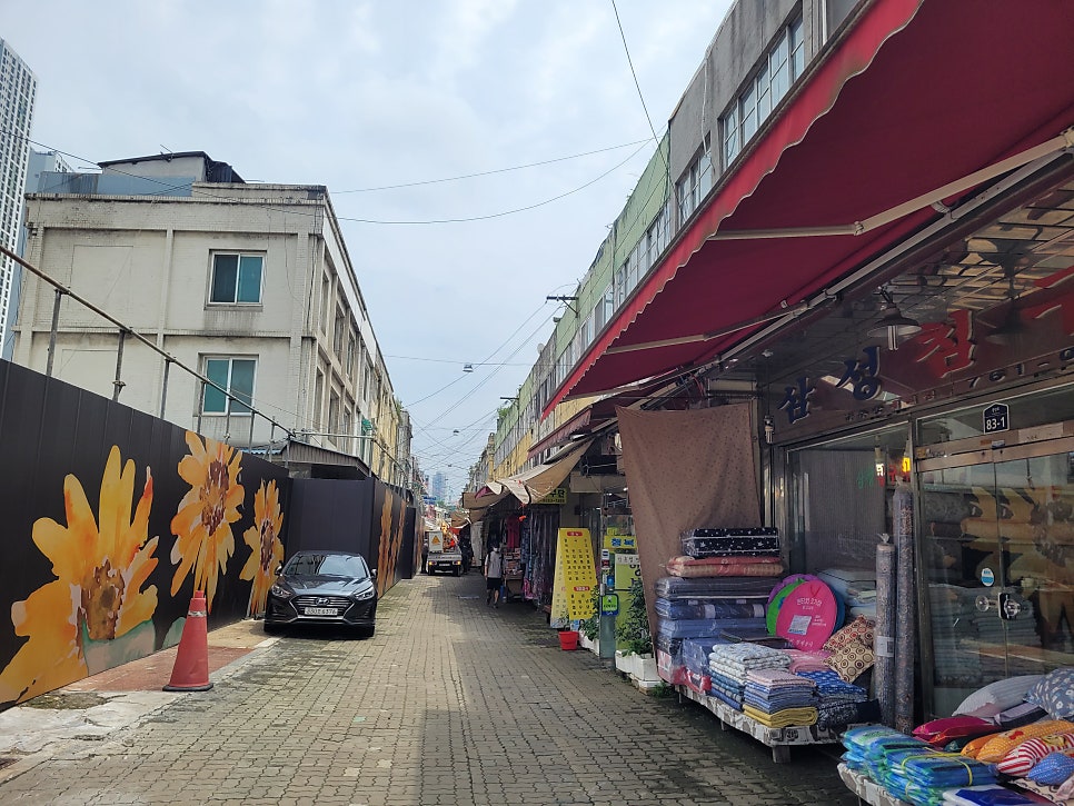 청개구리 사진 3