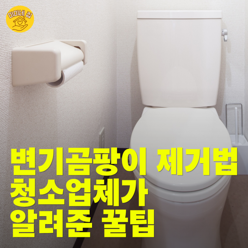 변기곰팡이 절대 문지르지 마세요.. 휴지에 "이것" 묻혀서 2시간만 두세요