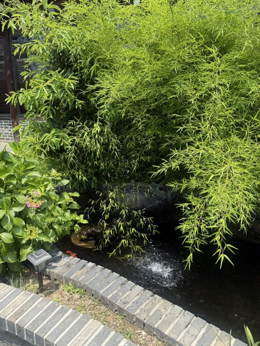 약산골 사진 5