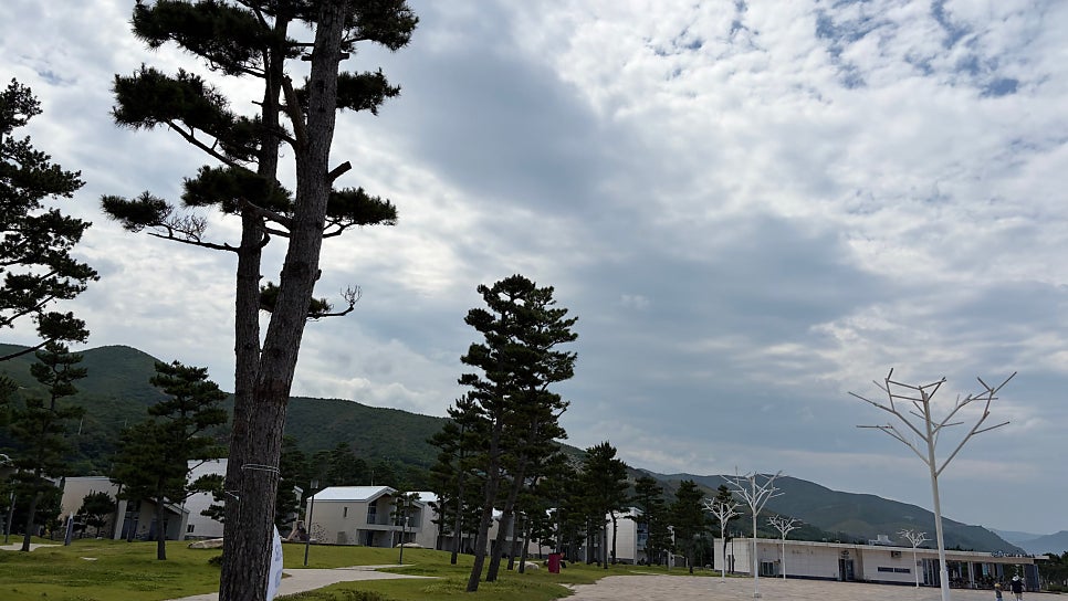 망상오토캠핑리조트 든바다 사진 1