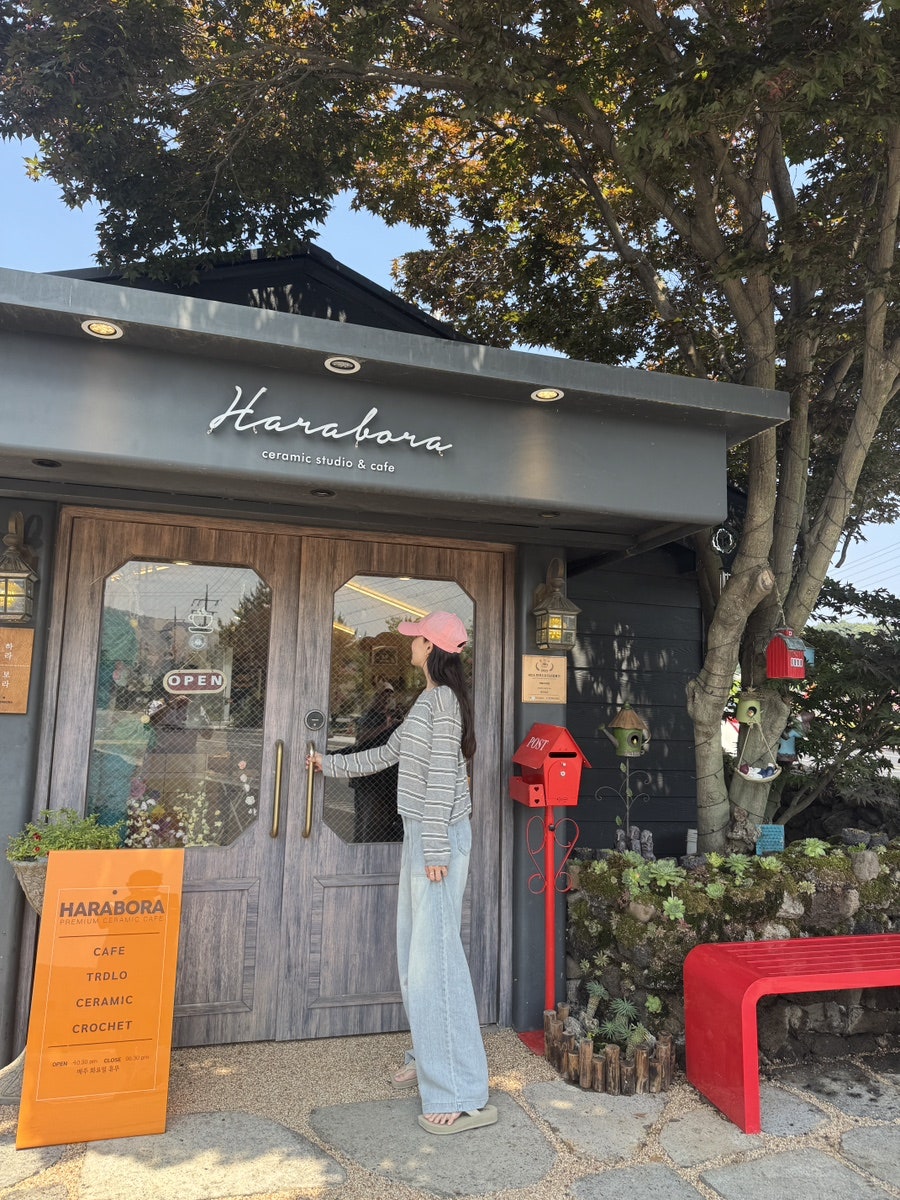하라보라 사진 6