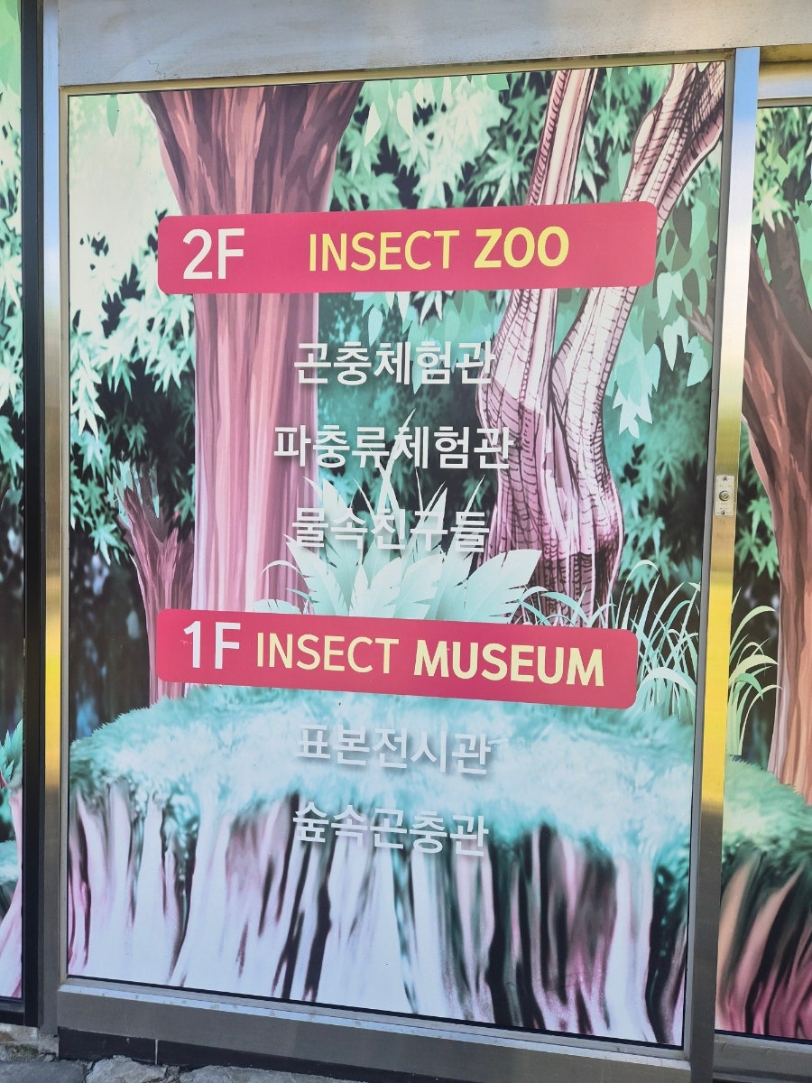 영암곤충박물관 사진 3