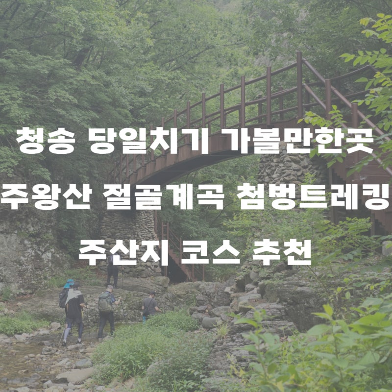 청송 당일치기 가볼만한곳 주왕산 절골계곡 첨벙트레킹 & 주산지 코스 추천