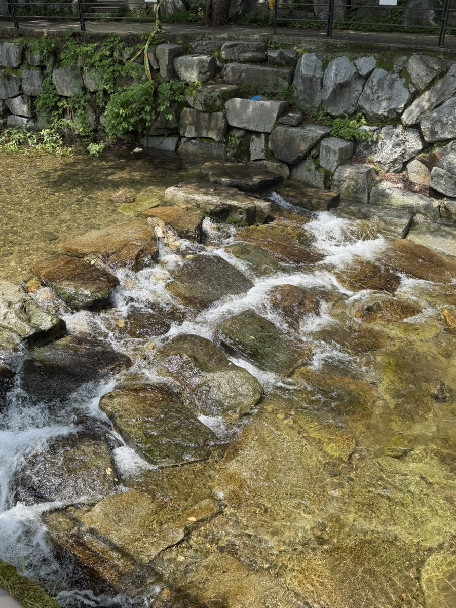 주록계곡 사진 3
