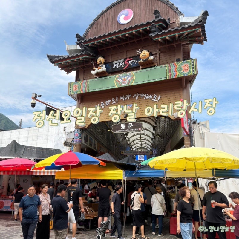 정선오일장 장날 곤드레 가득한 아리랑시장 구경 후기