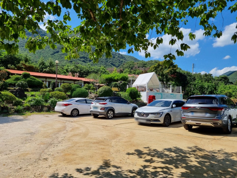 소담 사진 3