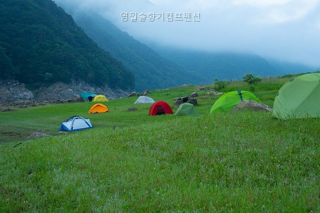 영월솔향기캠프펜션 사진 5