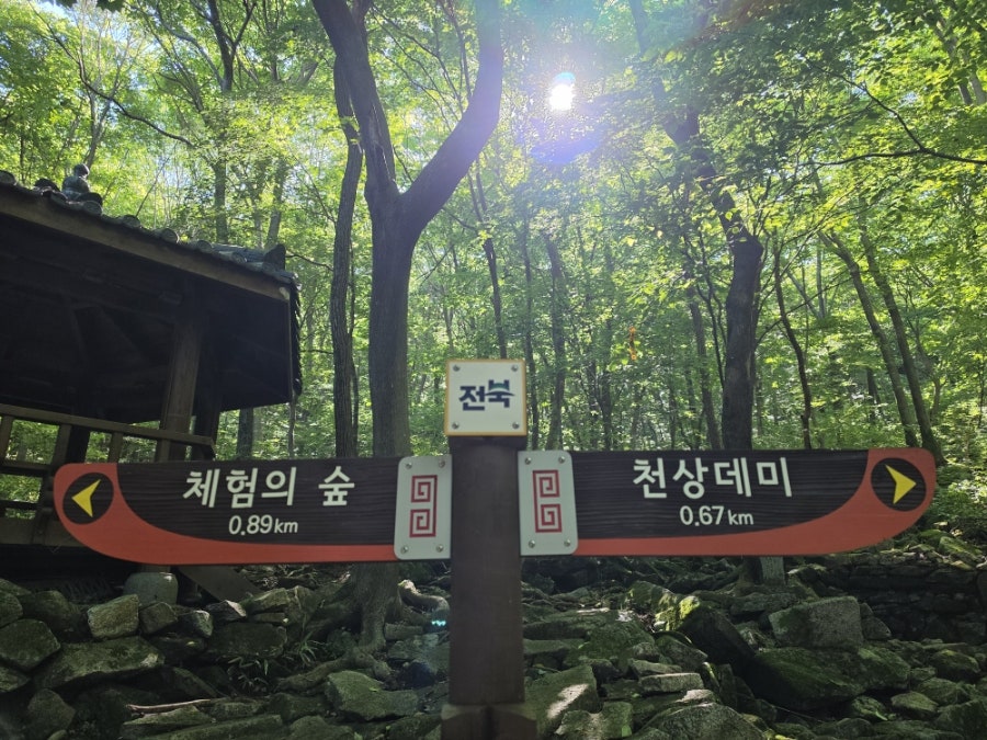 천상데미 사진 6