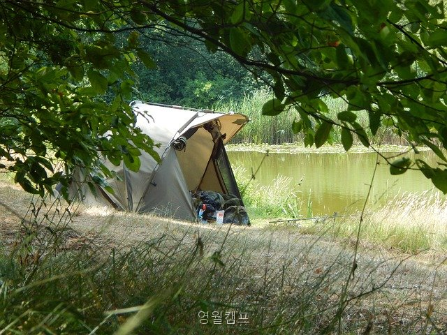 영월캠프 사진 3