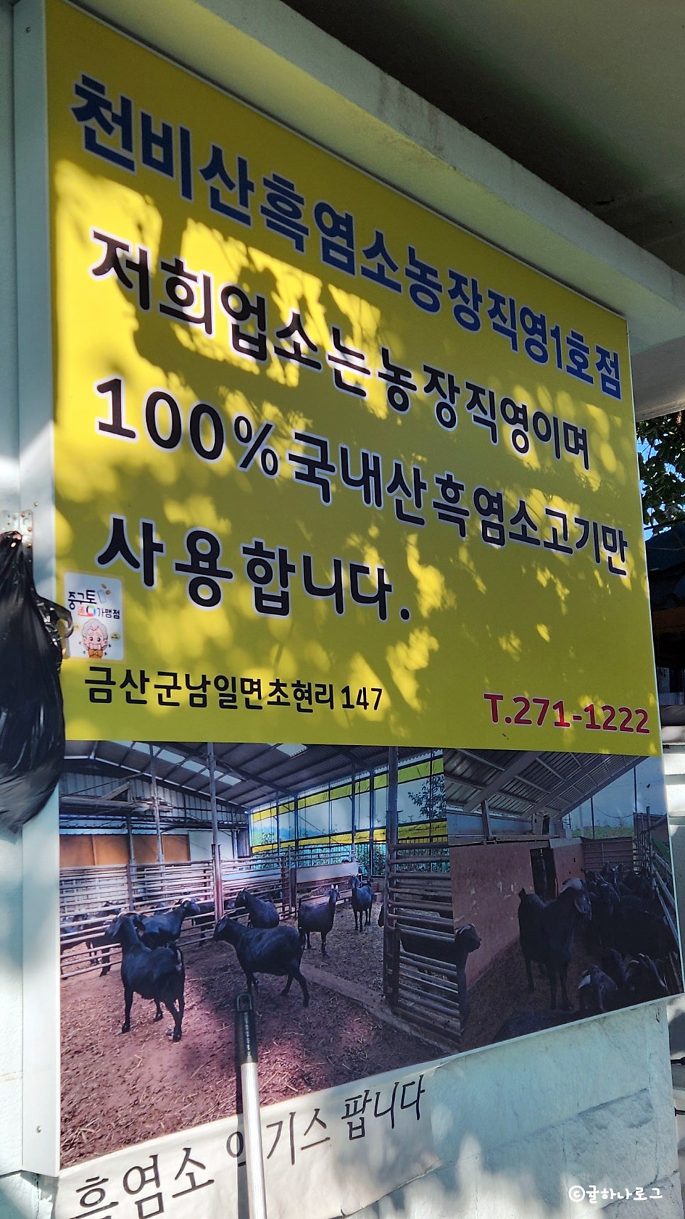 감나무식당 사진 4