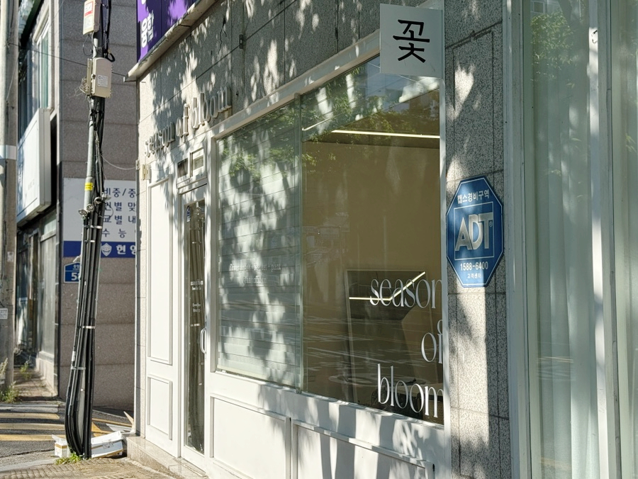 블룸 사진 3
