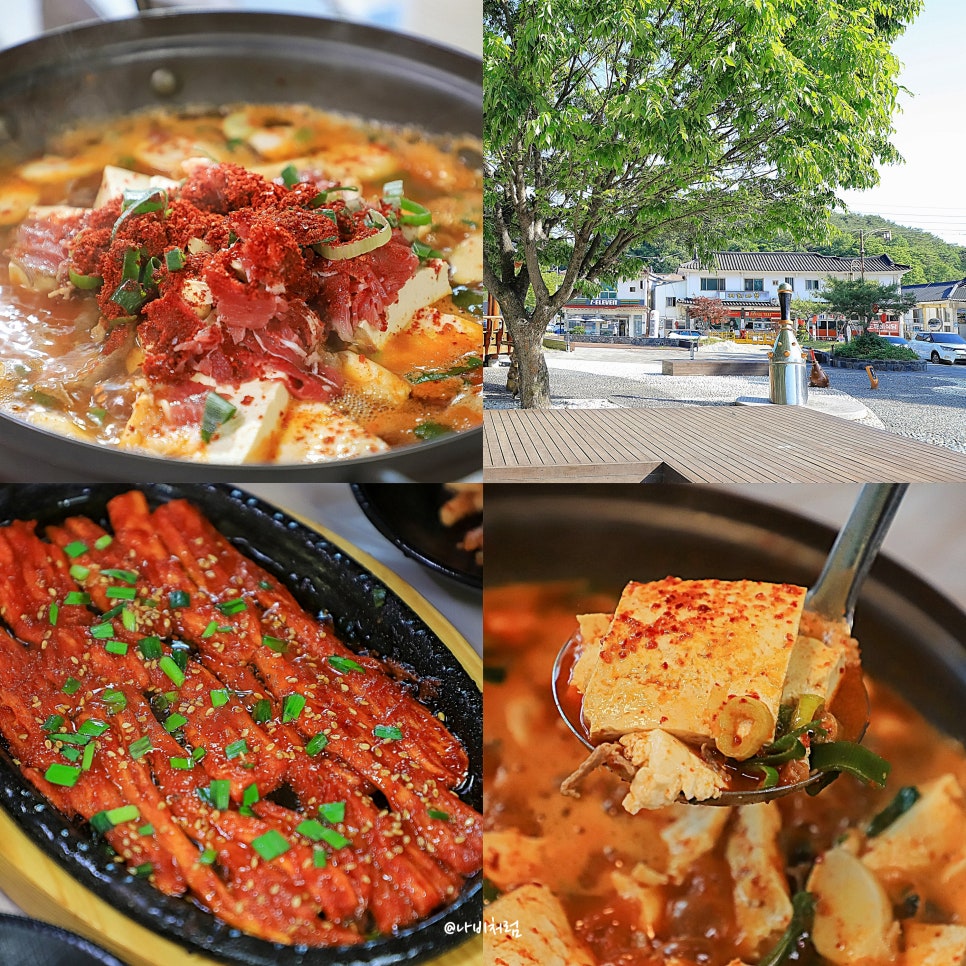 청솔 사진 1
