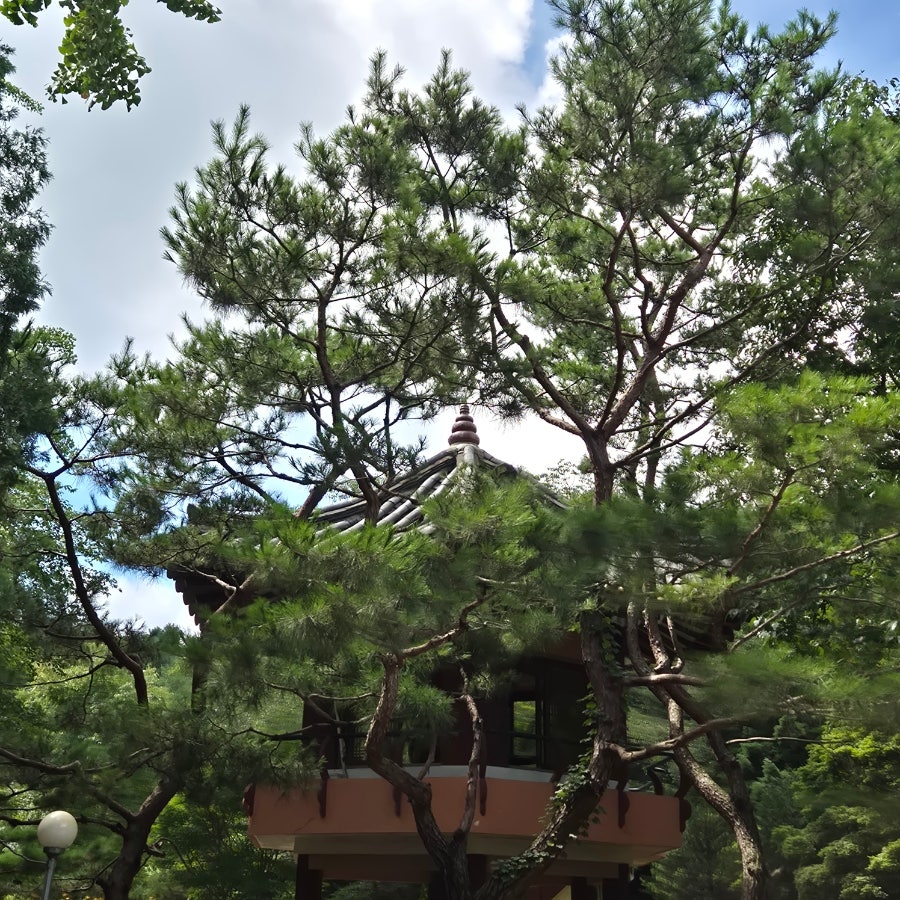 풍경 사진 5