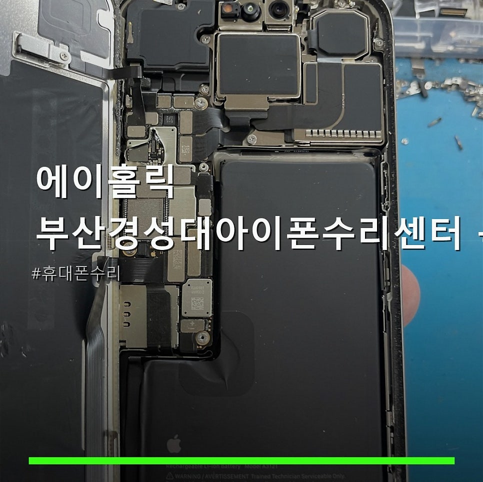 홀릭 사진 1