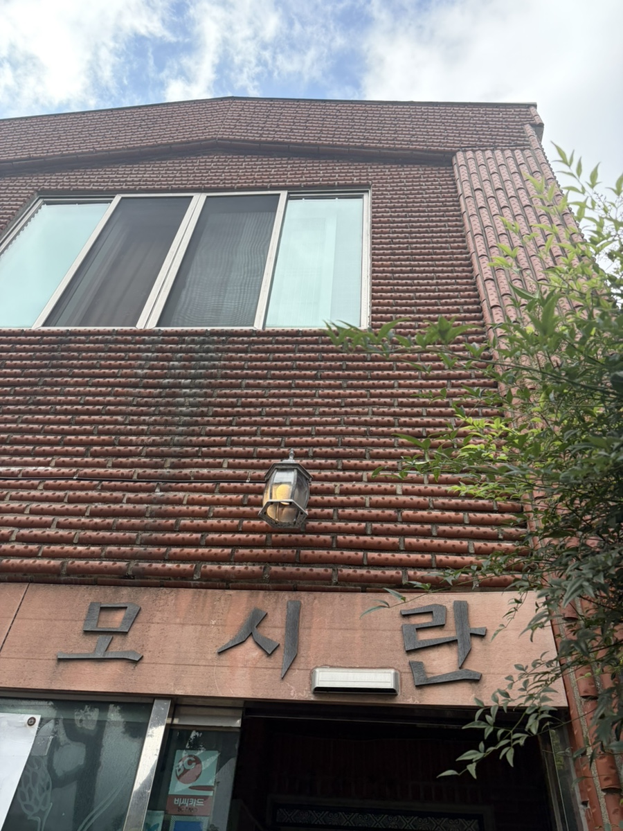 모시란 사진 3