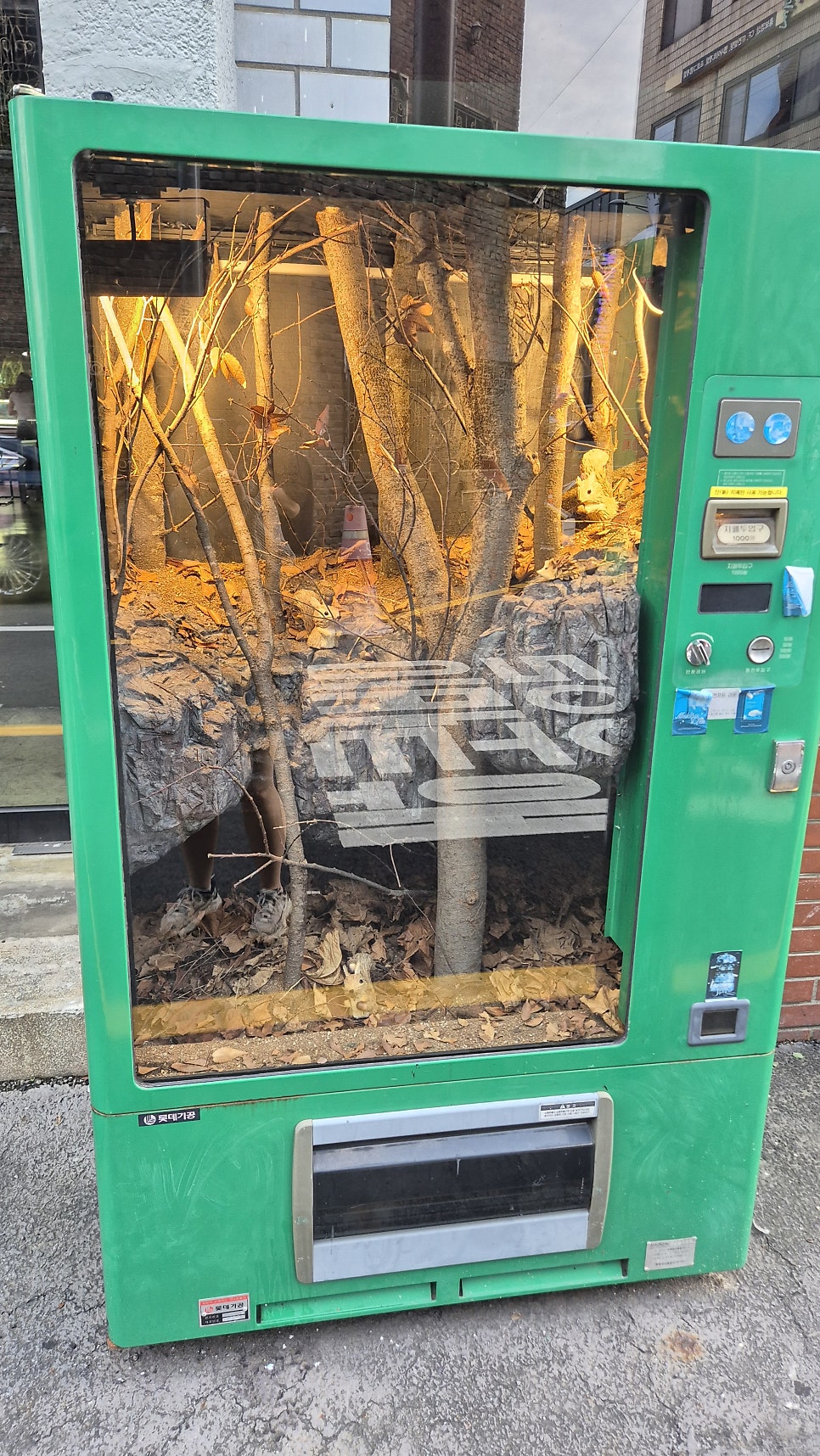 비워터 사진 2