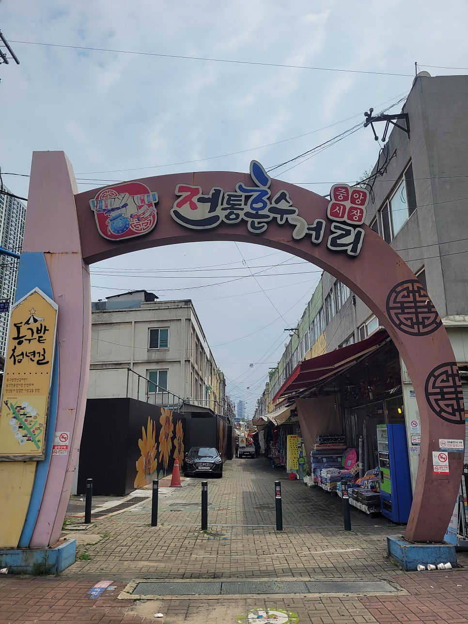 청개구리 사진 2