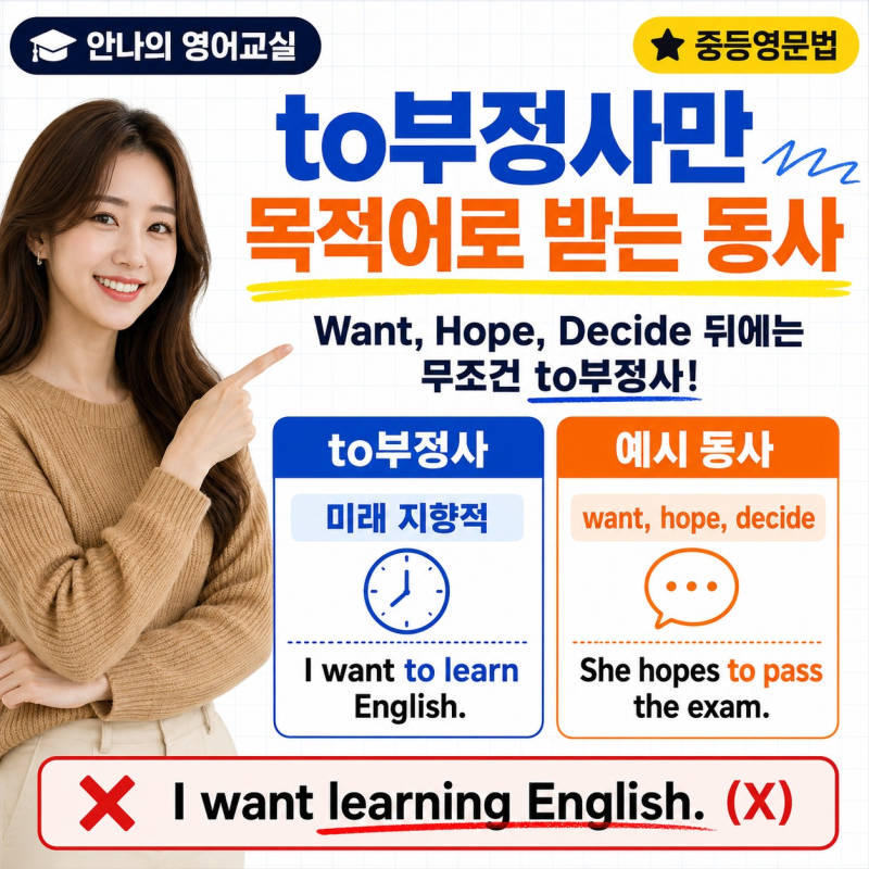 to부정사만 받는 동사, want hope decide 핵심 정리