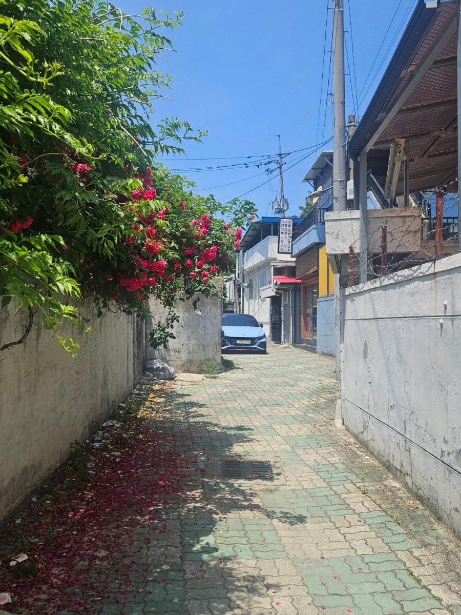 동흥식당 사진 2