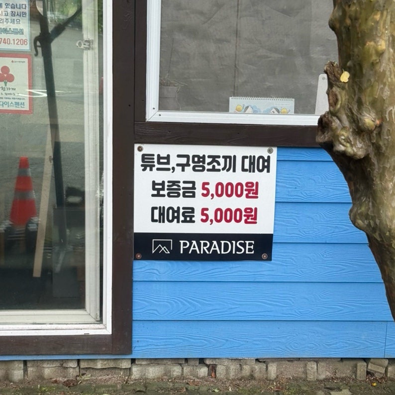 파라다이스 사진 4
