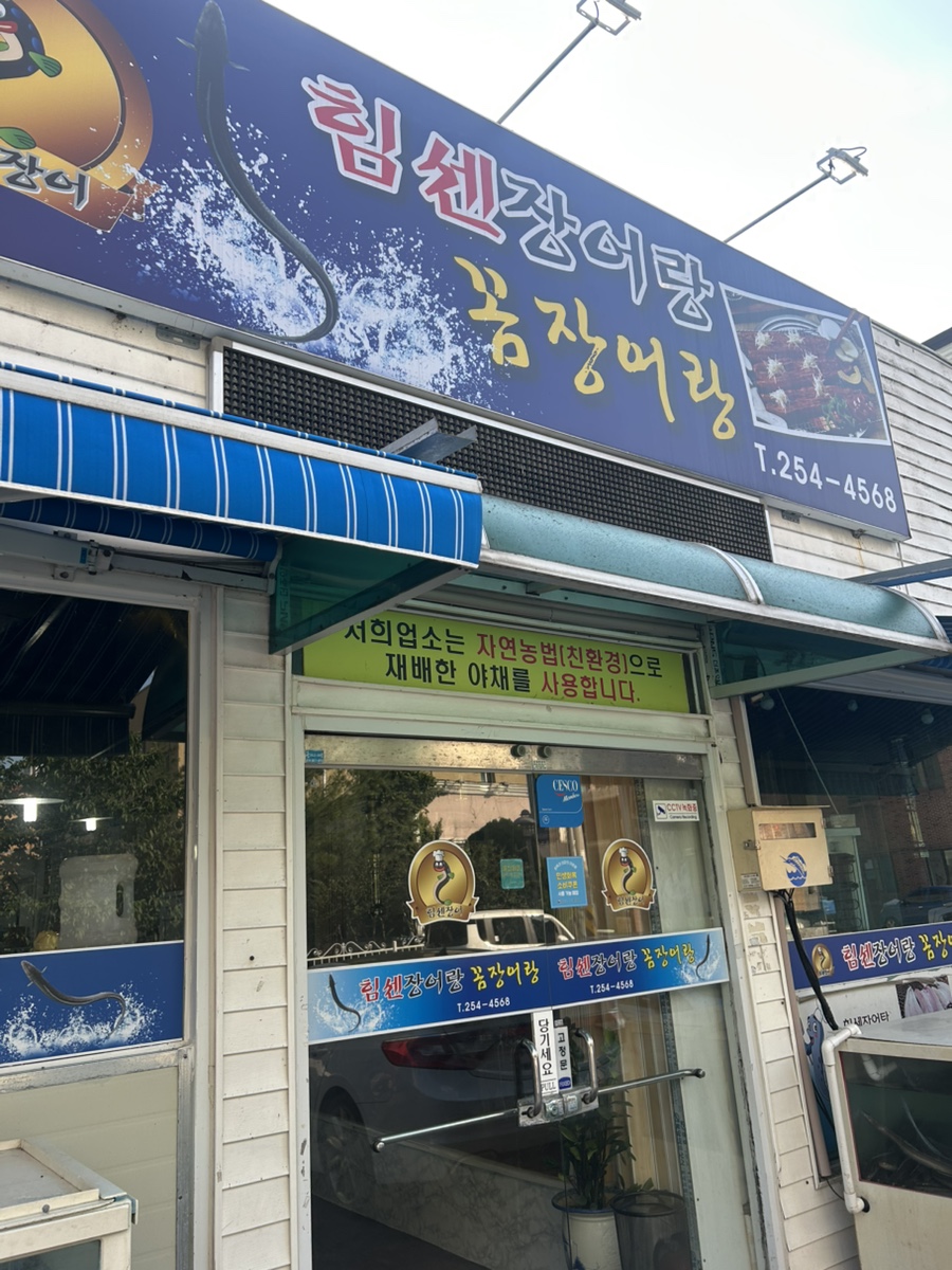 힘센장어랑꼼장어랑 사진 3