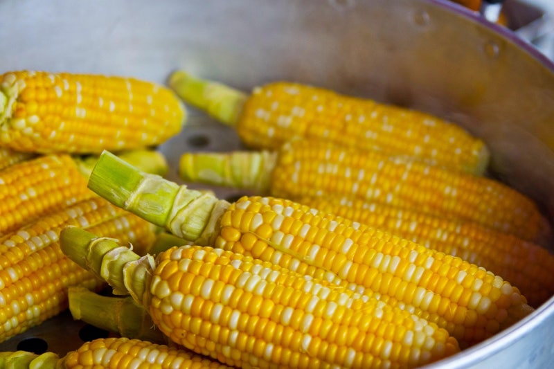 압력솥에 옥수수 삶는법 시간은 얼마나? 설탕,소금,뉴슈가 중에 뭘넣지?