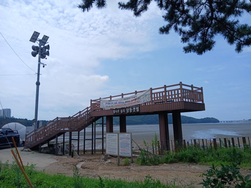 대부도 해솔길 2코스