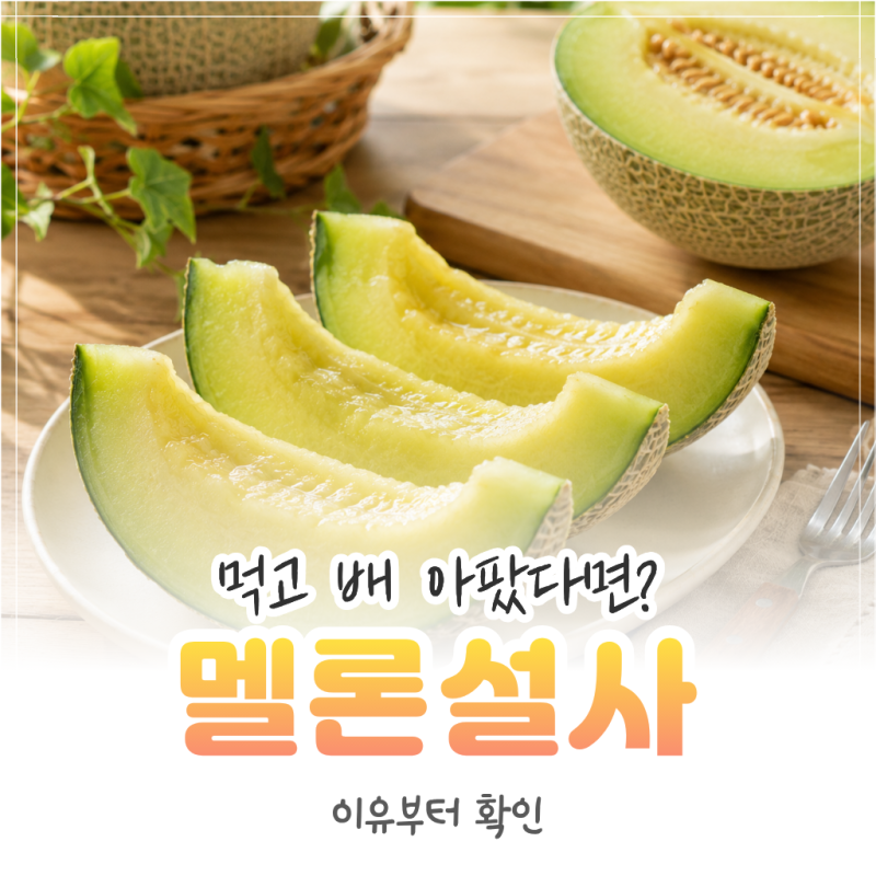 멜론 먹으면 설사하는 이유, 성분과 먹는법 주의사항