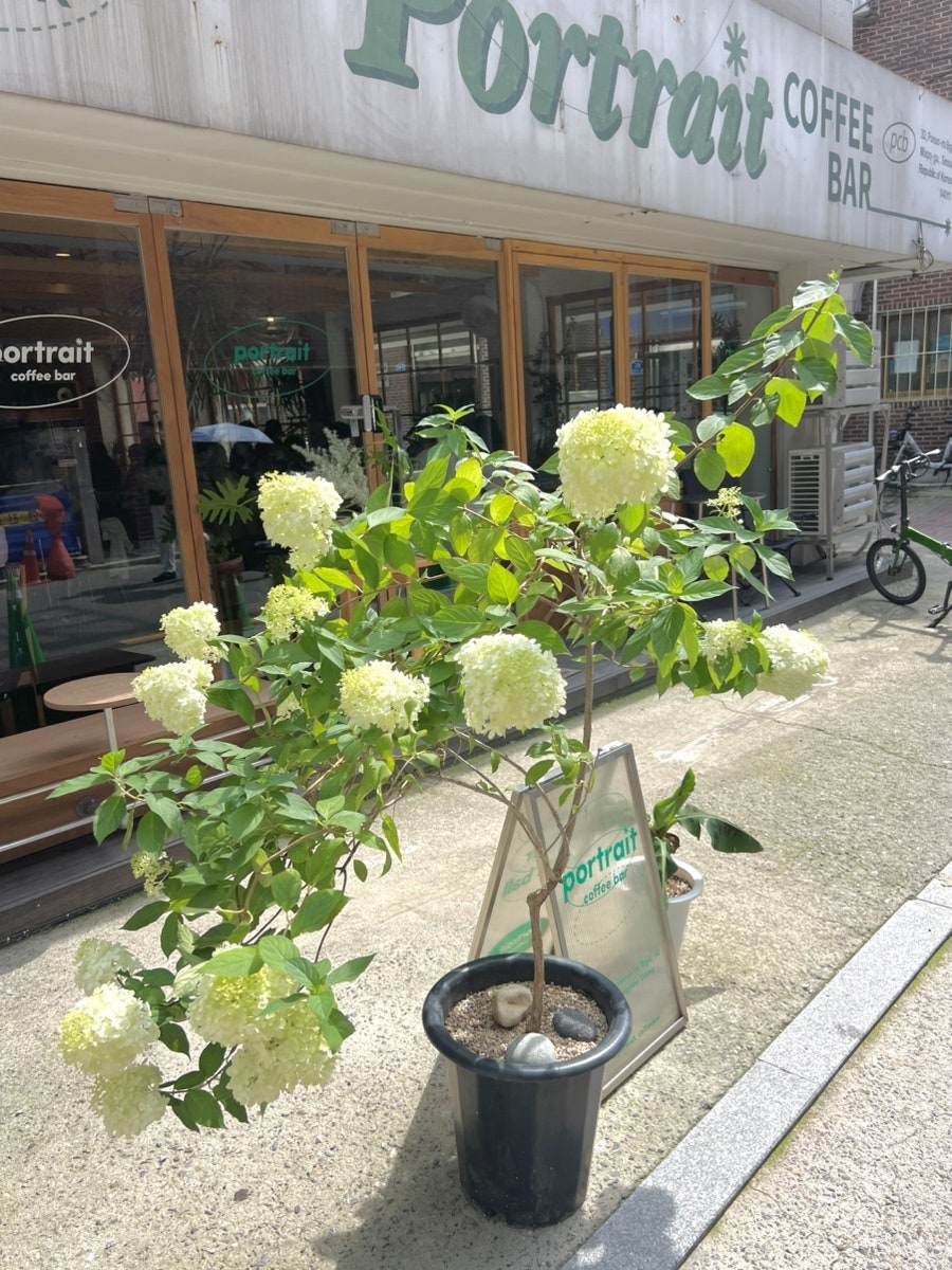 포트레이트 커피바 사진 2