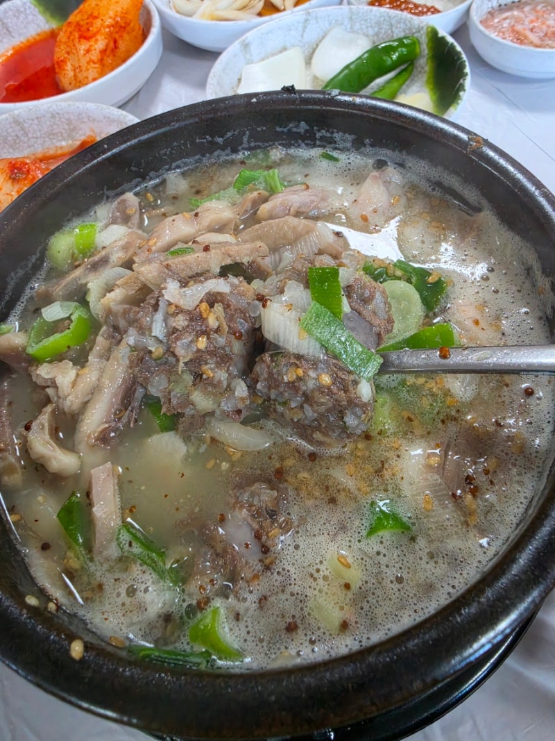 속초중앙시장 장터순댓국 후기｜아바이순댓국과 소머리국밥 먹어본 솔직후기