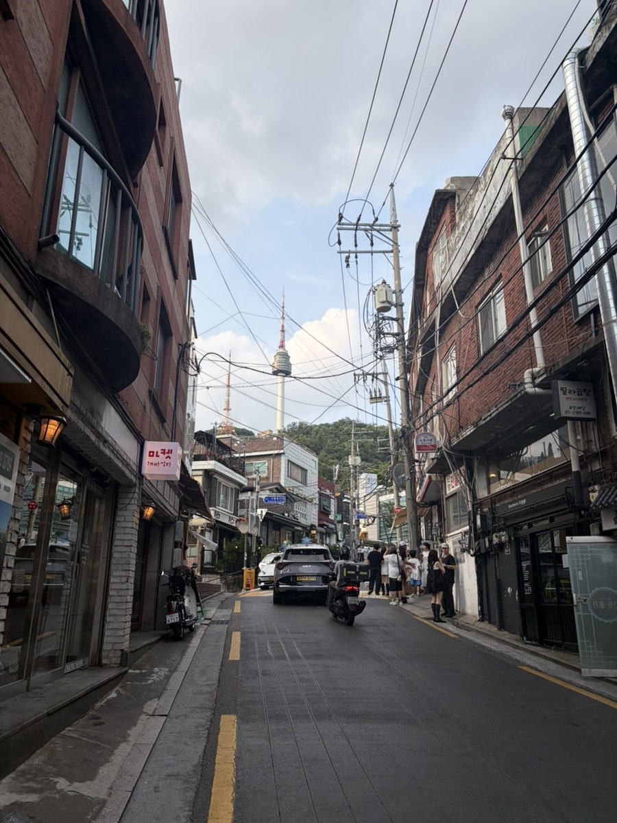 콜리 사진 2